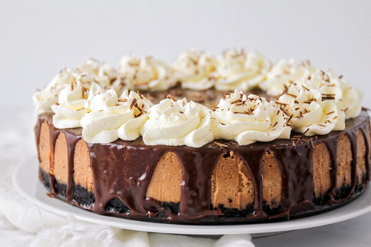 巧克力蛋糕食谱-巧克力芝士蛋糕bob综合手机客户顶部有鲜奶油和巧克力刨花放在白色蛋糕架上。