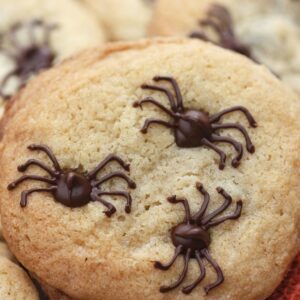 这些巧克力蜘蛛饼干是如此有趣和简单的万圣节款待!!{www.zilovisoko.com}