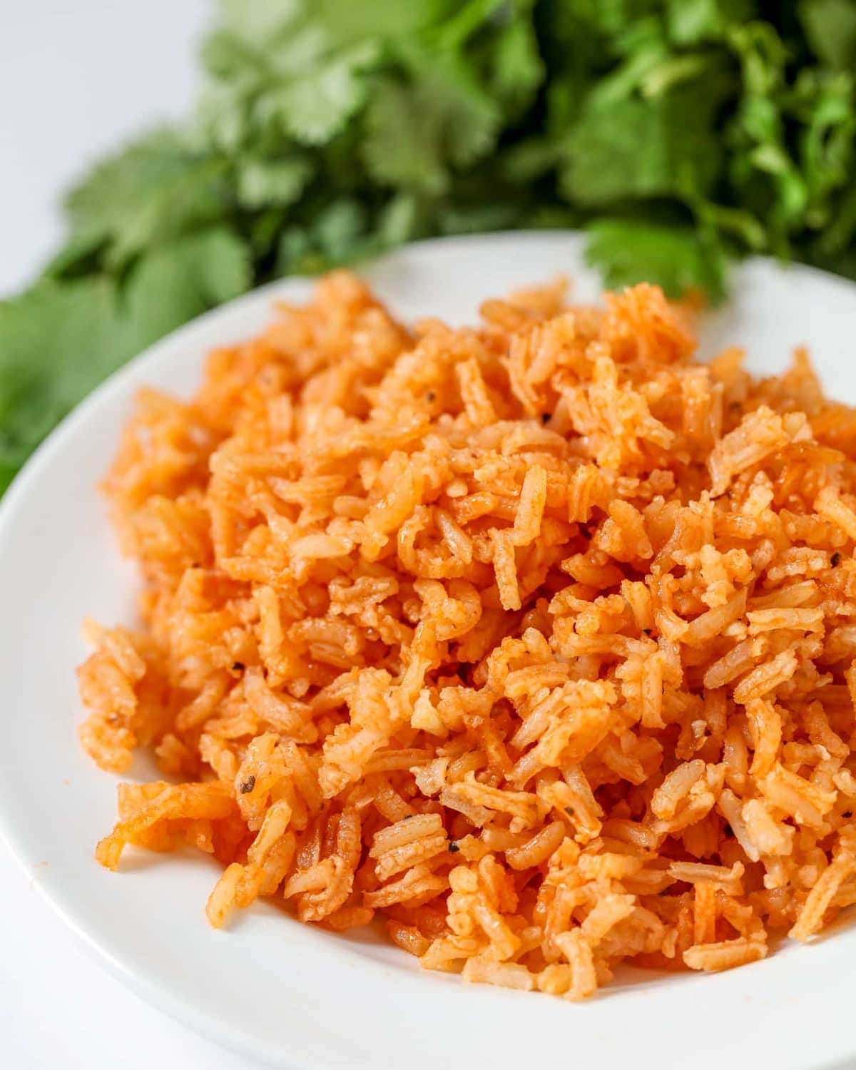 Mexican Rice Recipe on plate