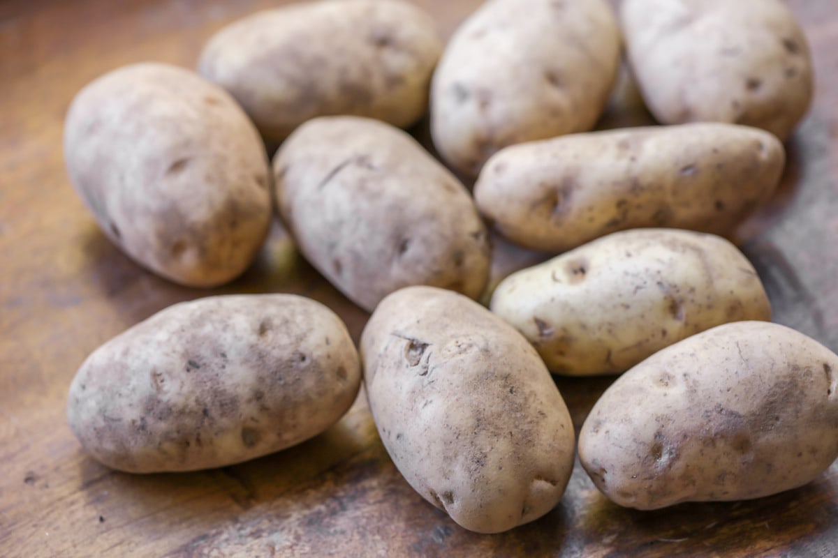 赤褐色土豆是最好的土豆泥食谱。bob综合手机客户
