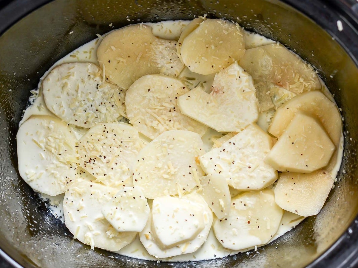 在慢炖锅里准备炖土豆扇贝的材料。