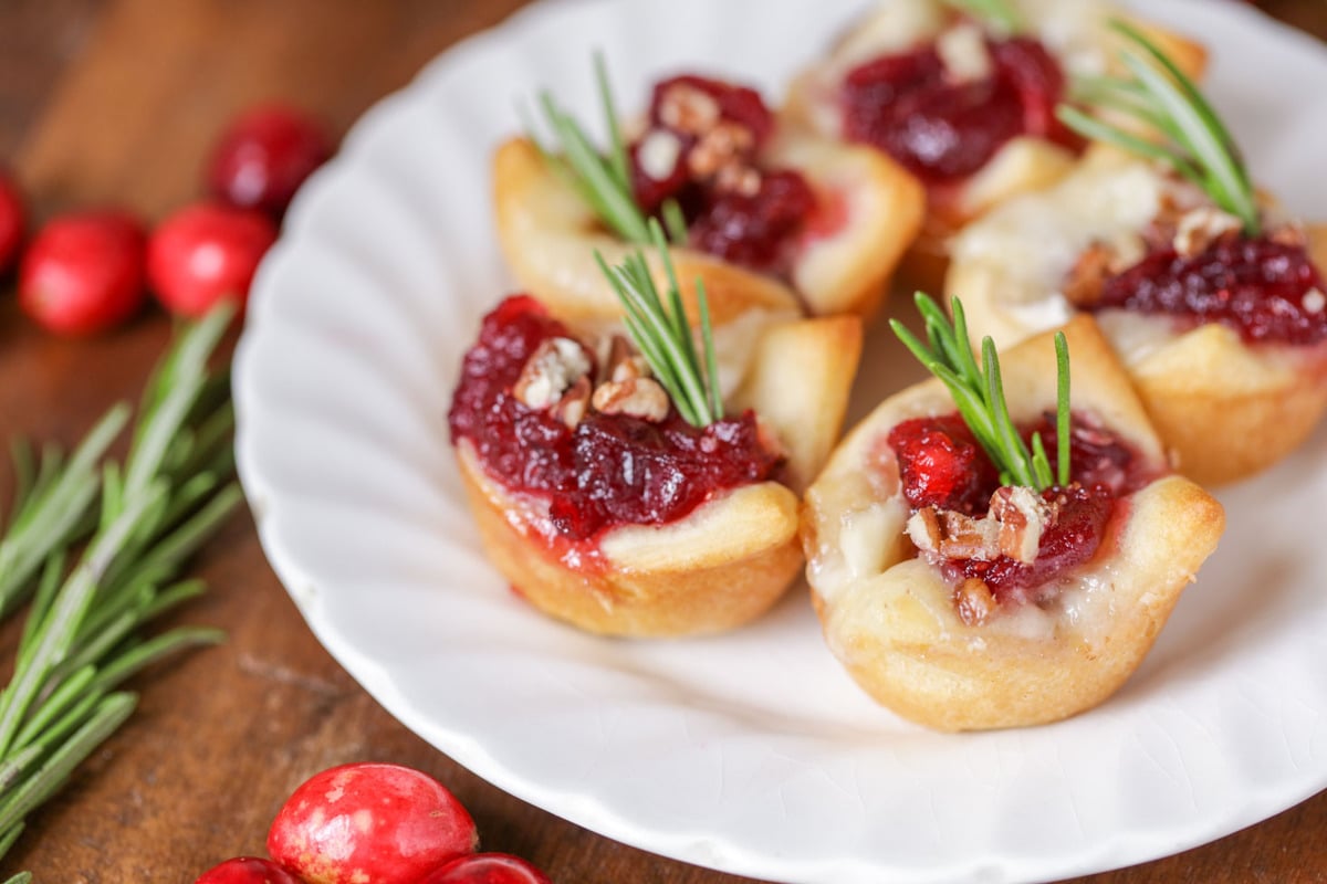 简单的开胃菜-小红莓布里干酪配上小枝迷迭香，放在白盘子里。