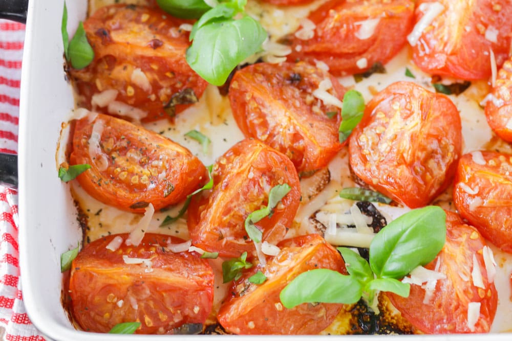 意大利开胃菜-烤西红柿在白色的烤盘中，上面有奶酪和新鲜的香草。