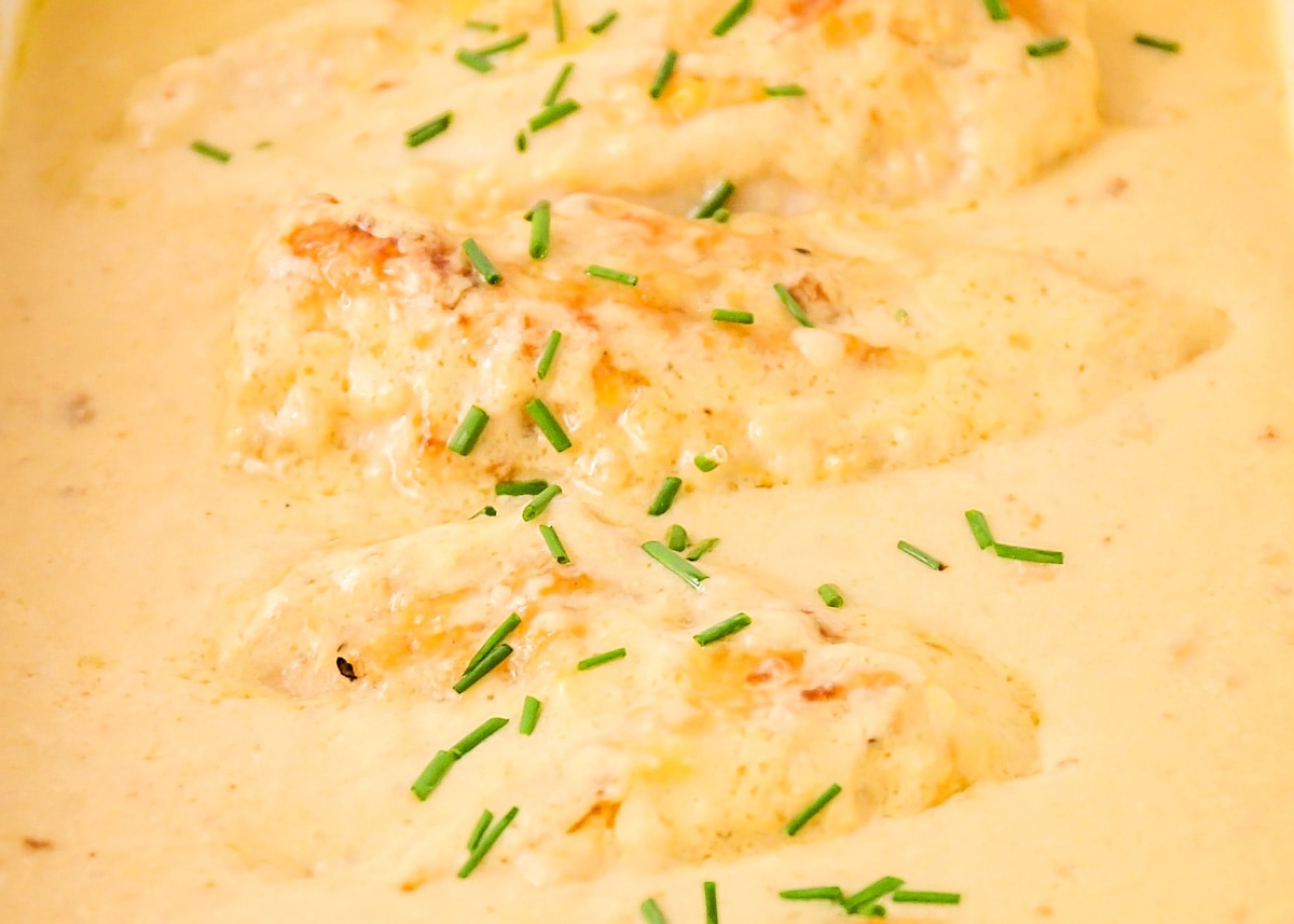 家庭晚餐的想法-特写黄油烤鸡在砂锅菜。