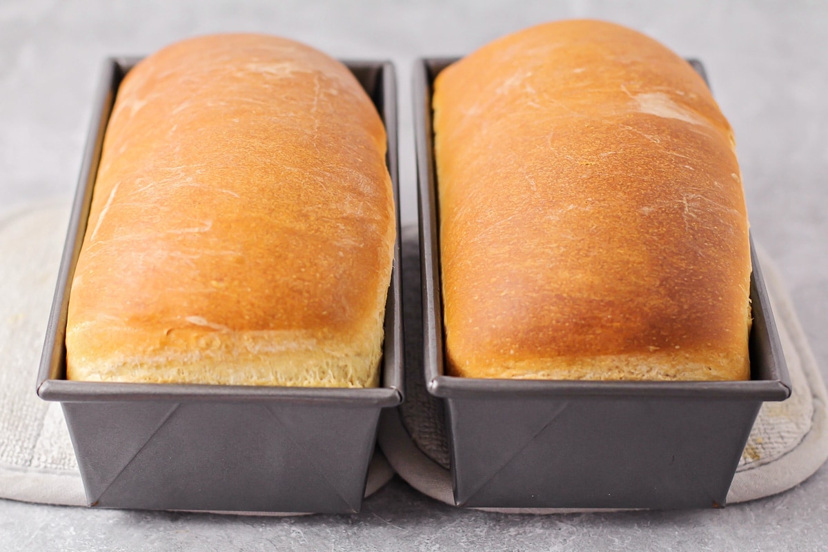 两条面包并排放在金属烤盘里。